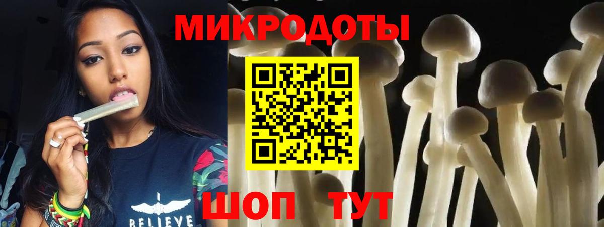 Томск  Псилоцибиновые грибы GOLDEN TEACHER  Галлюциногенные грибы Psilocybine cubensis  купить наркоту  Вход с VPN 