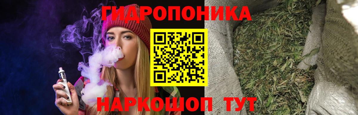 Бошки Шишки конопля Томск